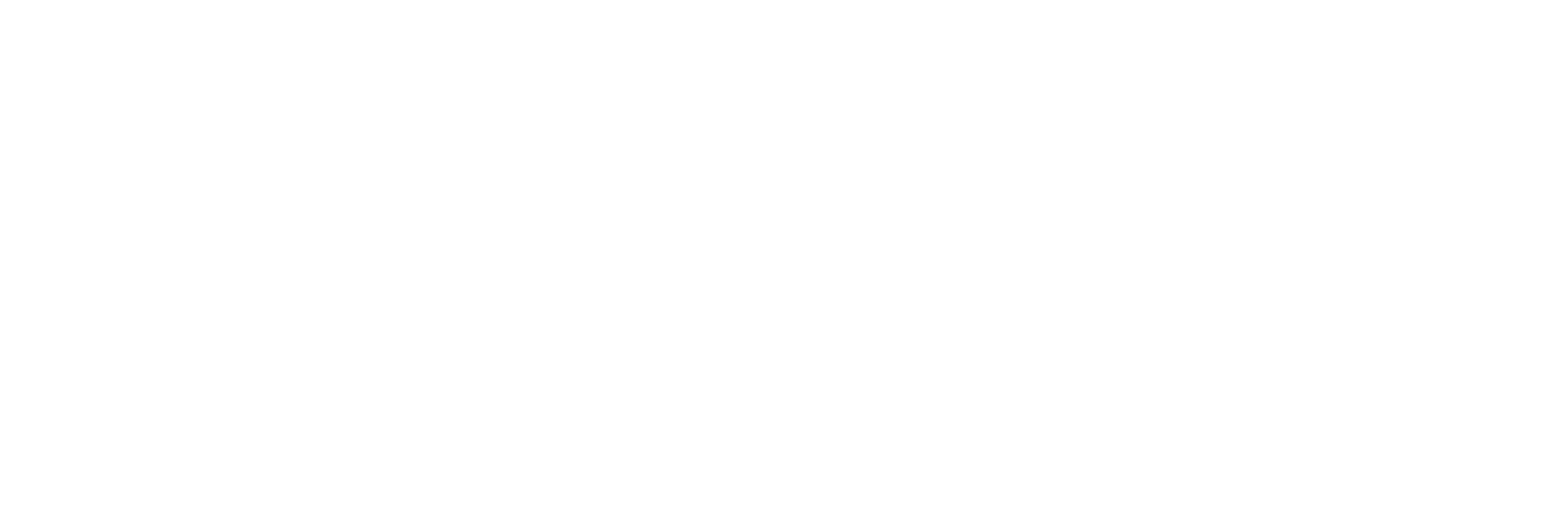 CABAL Rise of Eternal Destiny